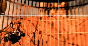 15540068668_3057820ca9_z